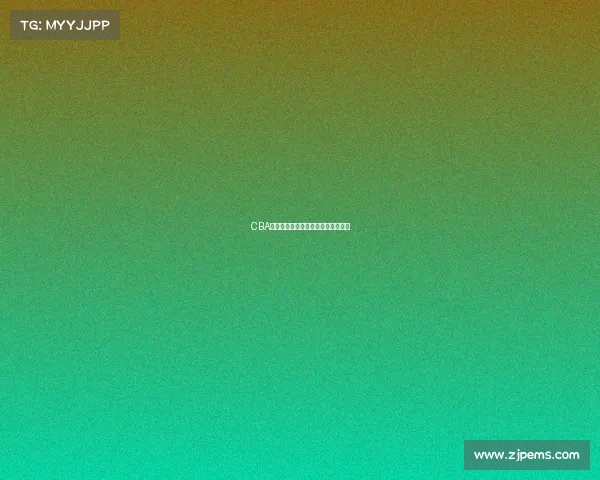 CBA赛事区域焦点:城市篮球竞技新图景 CBA赛事区域焦点:城市篮球竞技新图景